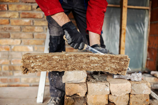 Best Insulation Removal  in Hicksville, OH